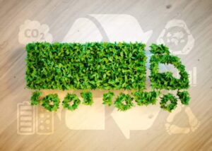 Supply chain eco friendly