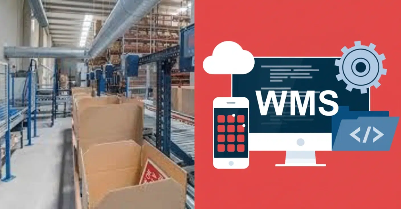 Warehouse Management System : tout ce qu’il faut savoir