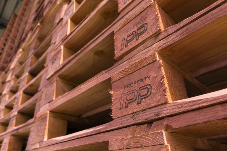 IPP Intelligent Flow : une nouvelle façon de gérer le pooling palette